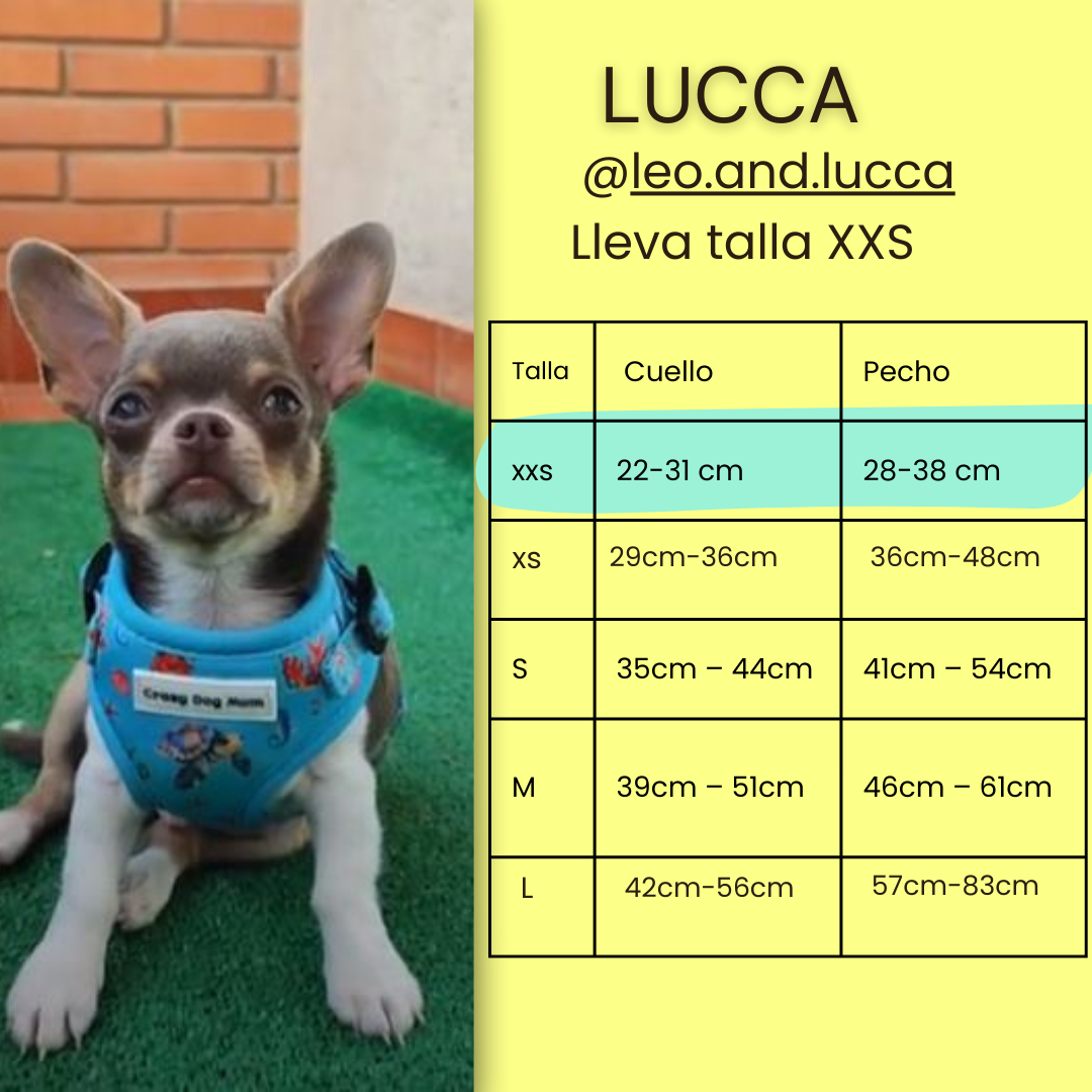 Cozumel - arnés perro pequeño