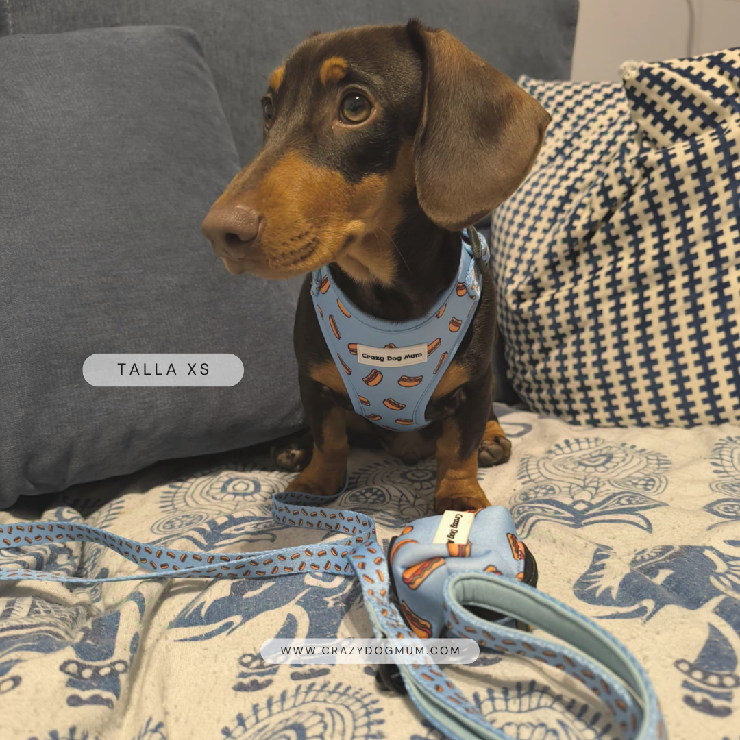 Hot dog - arnes para cachorro