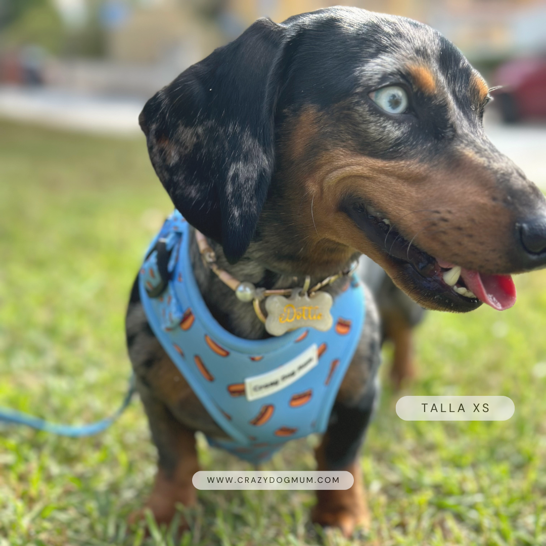 Hot dog - arnés perro pequeño
