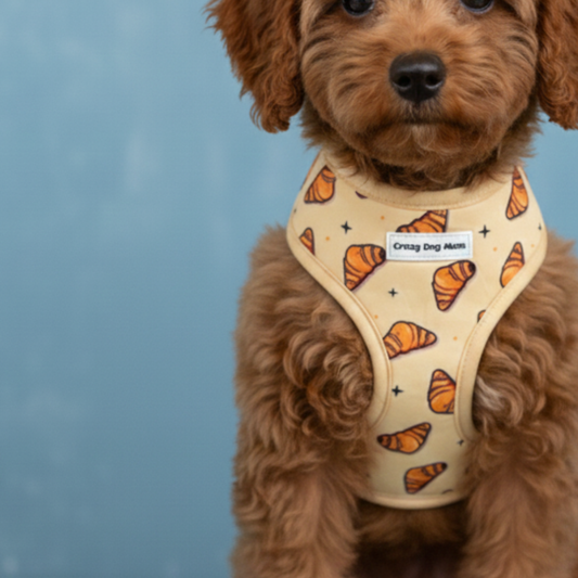 Croissant - Pack para cachorro