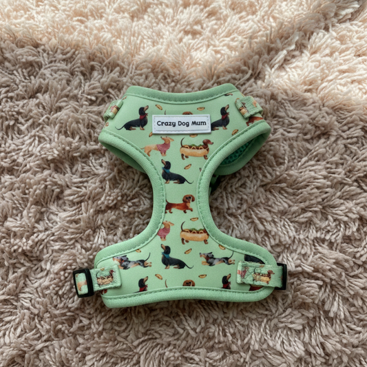 Teckel verde - arnes para cachorro