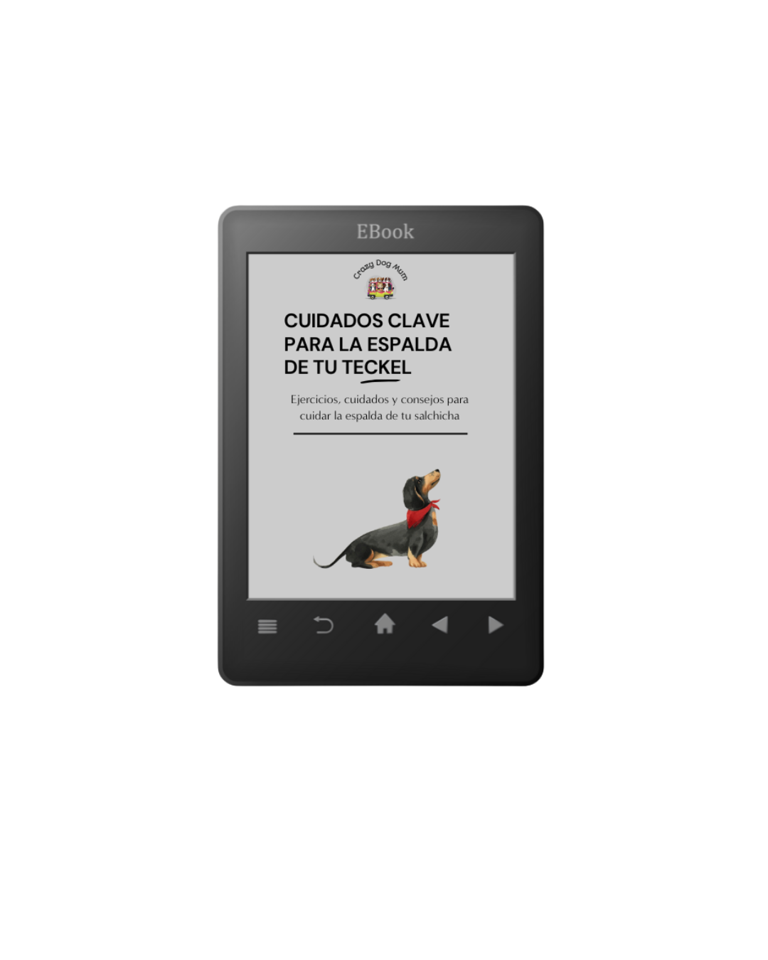Ebook - Cuidados claves para la espalda de tu Teckel