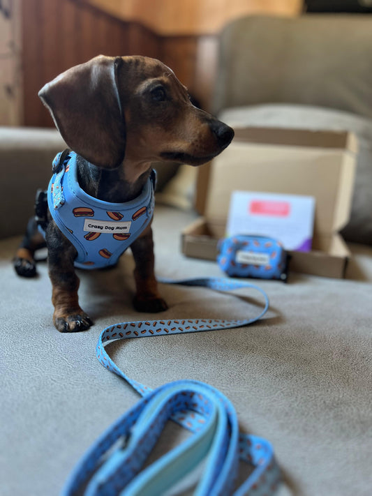 Hot dog - Pack para cachorro