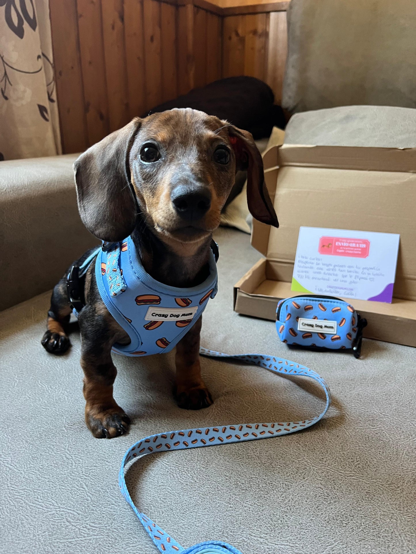 Hot dog - Pack para cachorro