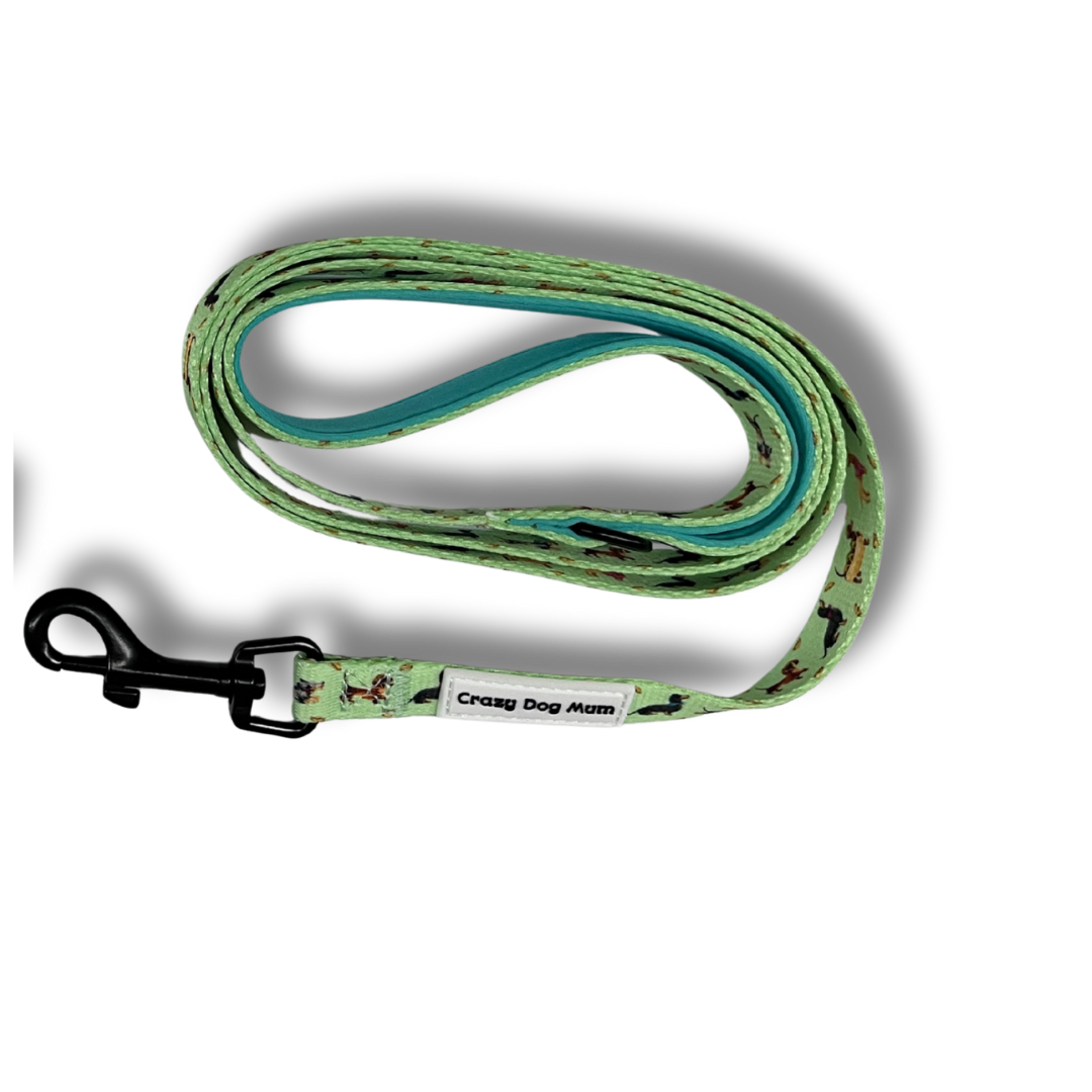 Teckel verde - Correa de perro estampada