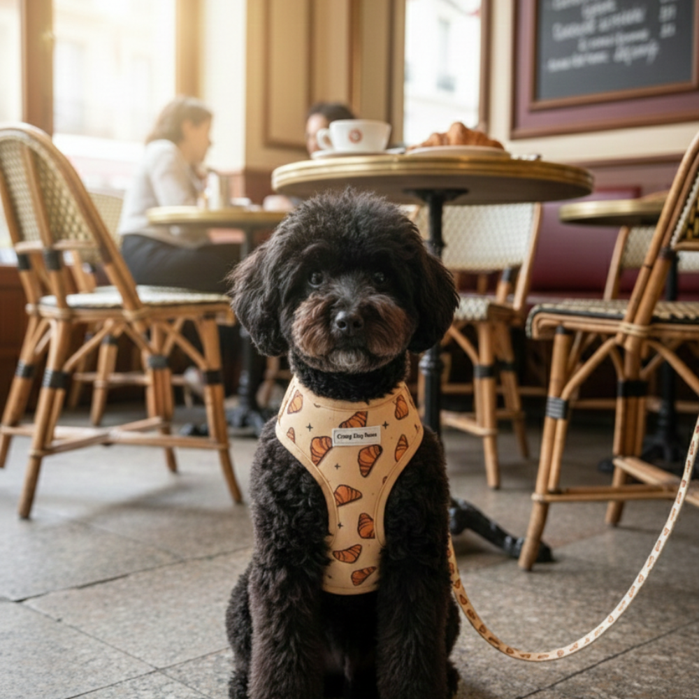 Croissant-  arnés perro pequeño