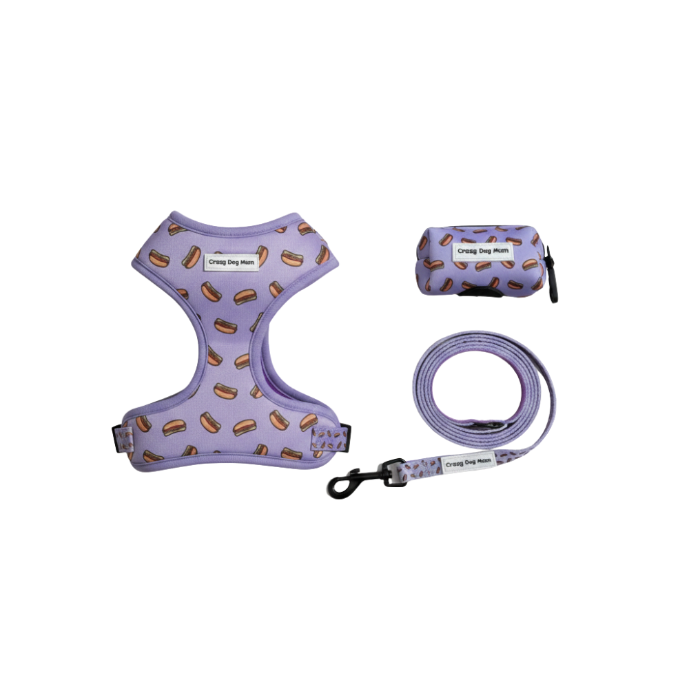 Hot dog lila-  Pack arnés perro pequeño