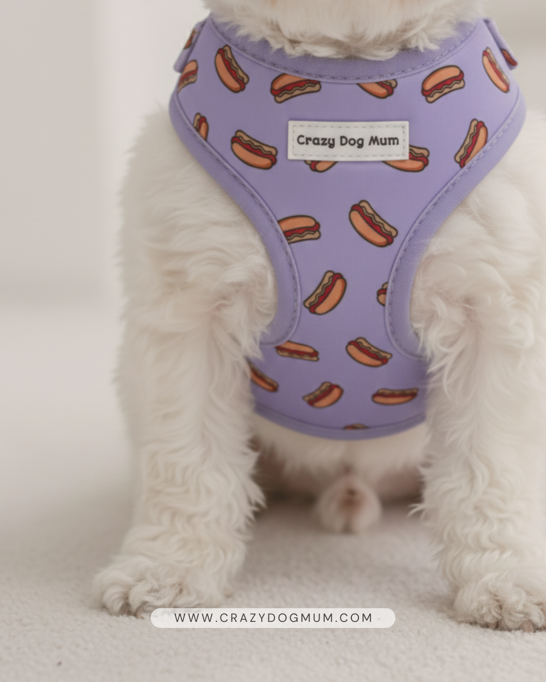 Hot dog lila-  Pack arnés perro pequeño