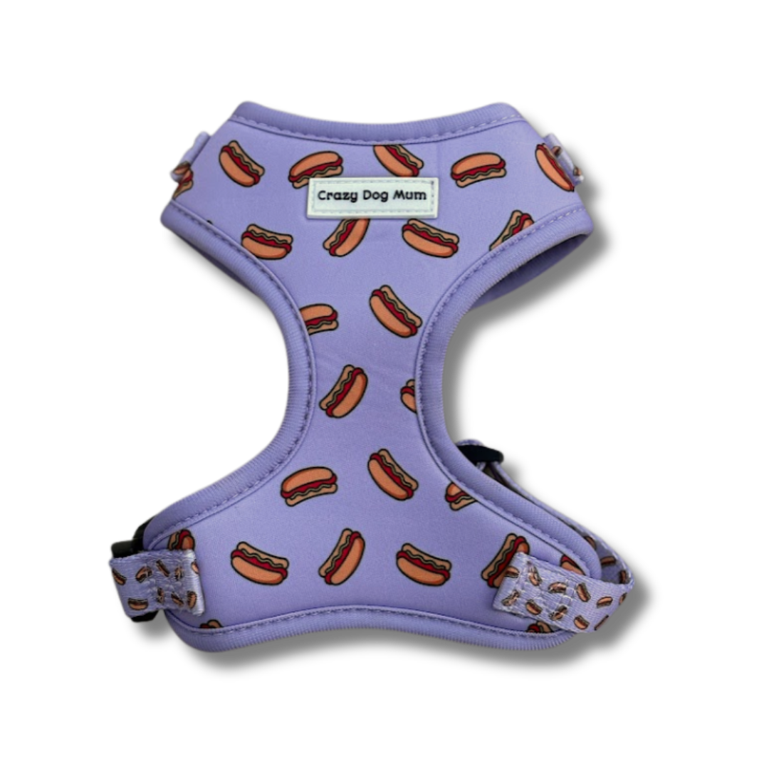 Hot dog lila-  Pack arnés perro pequeño