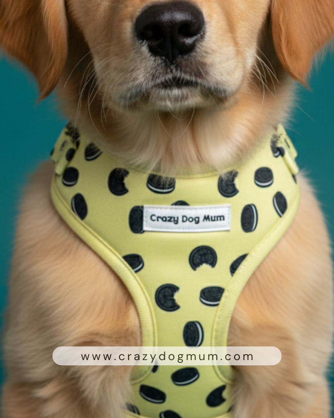 Oreo Vainilla -  arnés perro pequeño