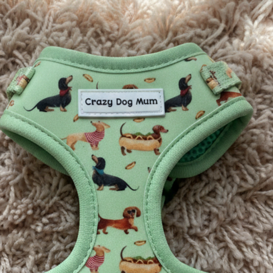 Teckel verde- Pack arnés perro pequeño