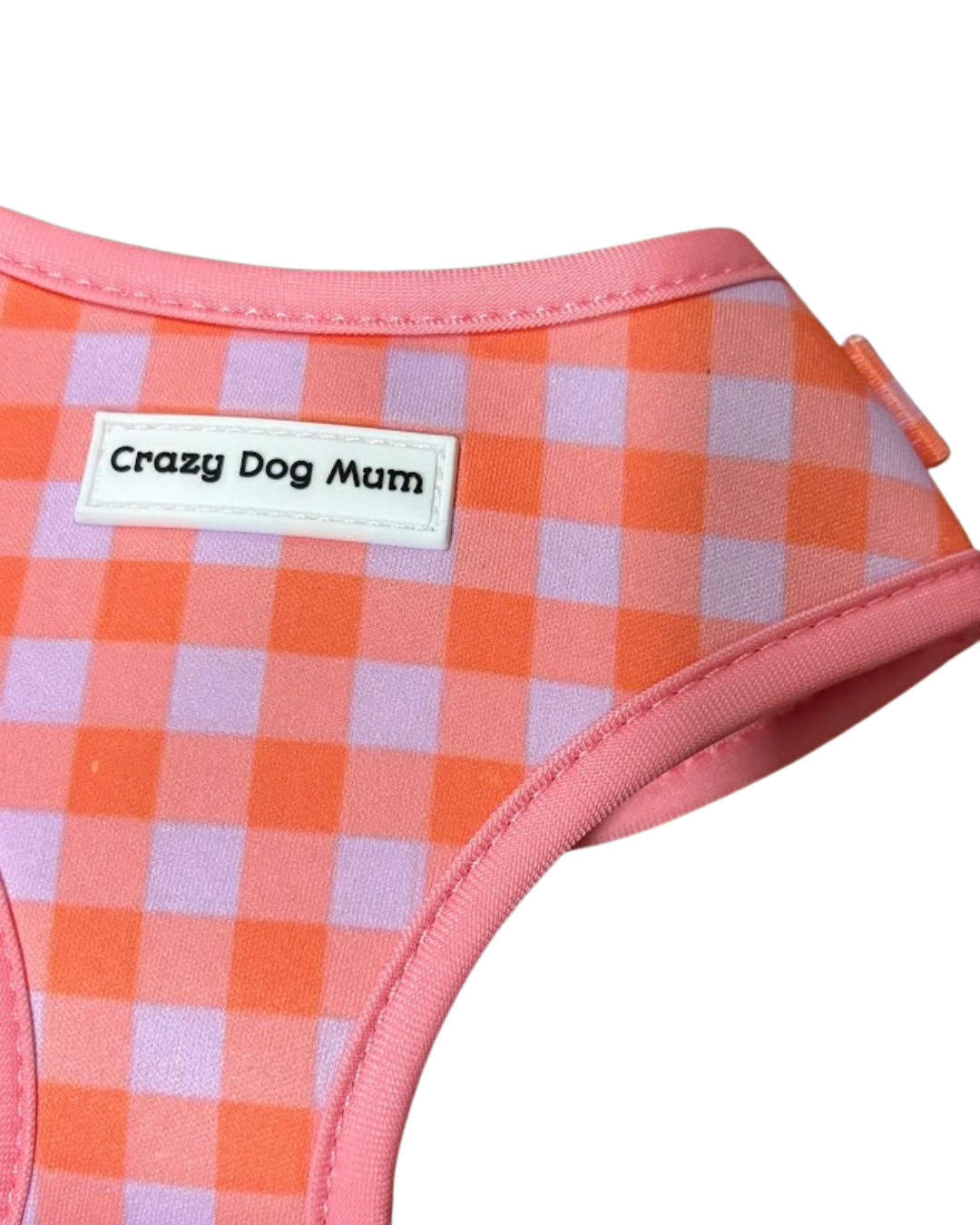 Vichy - Pack arnés para cachorro