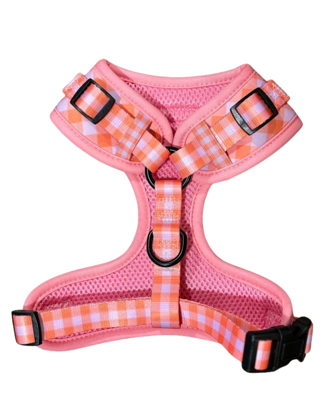 Vichy - Pack arnés para cachorro