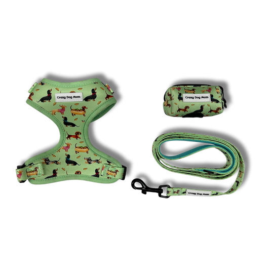 Teckel verde- Pack arnés perro pequeño