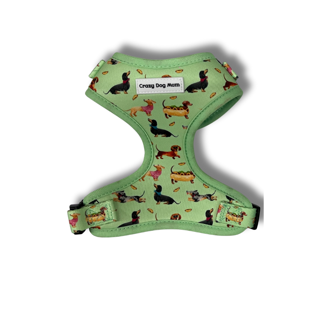 Teckel verde -  arnés perro pequeño