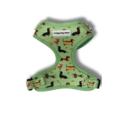 Teckel verde -  arnés perro pequeño