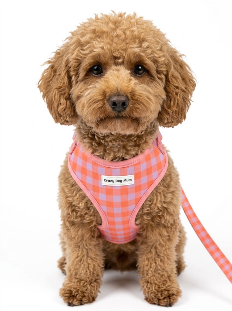 Vichy -  arnés perro pequeño