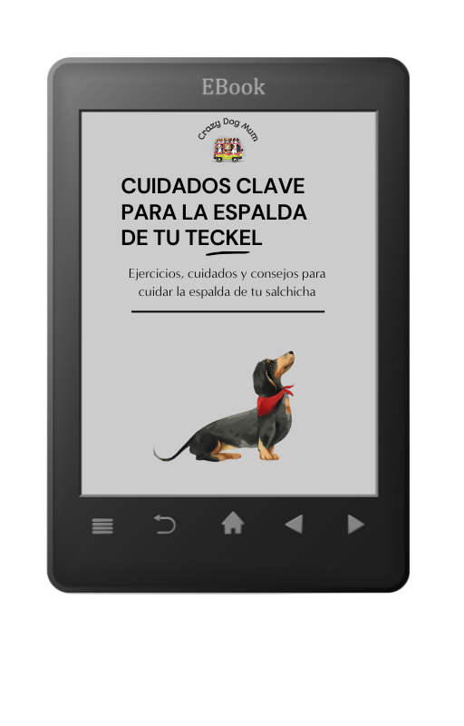 Ebook - Cuidados claves para la espalda de tu Teckel