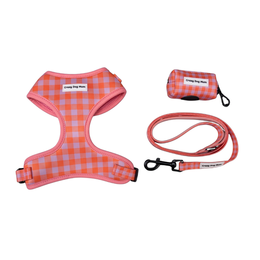 Vichy - Pack arnés perro pequeño