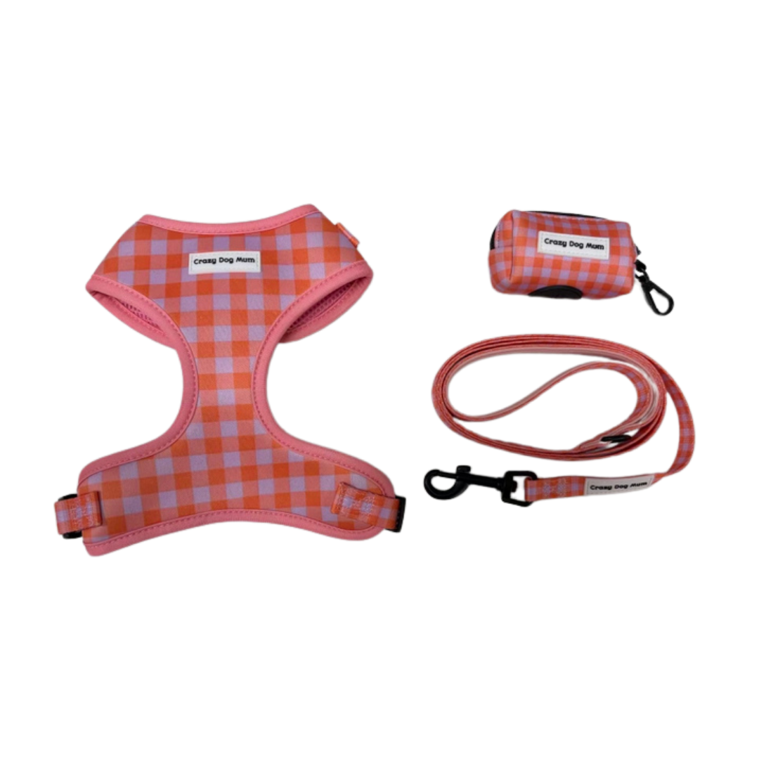 Vichy - Pack arnés perro pequeño