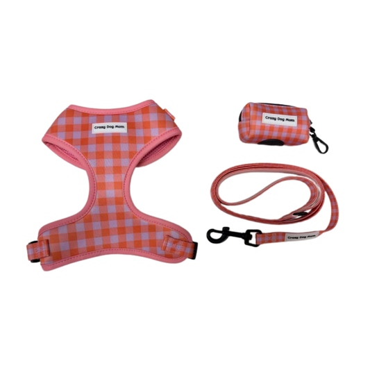 Vichy - Pack arnés perro pequeño